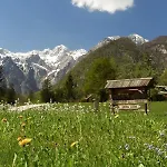 Lepa Lopa * Stahovica