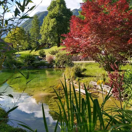 Kwatera prywatna Lepa Lopa *