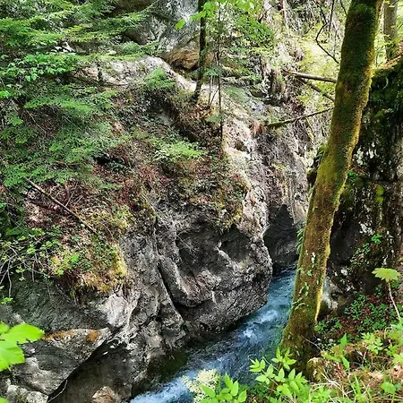 Kwatera prywatna Lepa Lopa