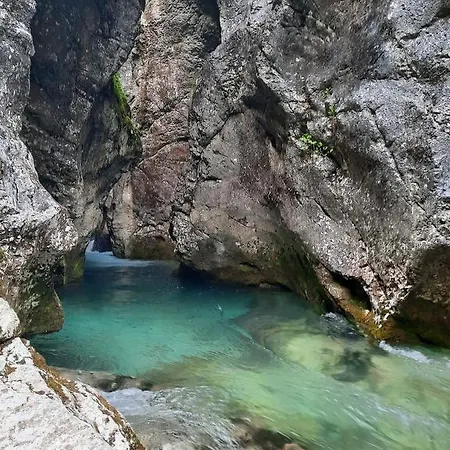 Lepa Lopa Homestay Stahovica