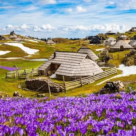 Homestay Lepa Lopa *