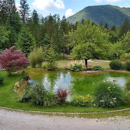 Lepa Lopa Homestay Stahovica