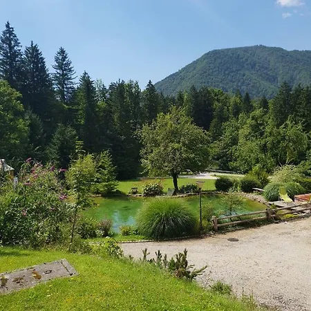 Alloggio in famiglia Lepa Lopa *