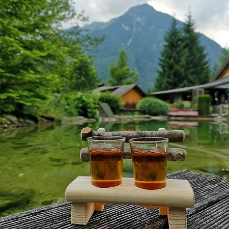 Lepa Lopa * Stahovica