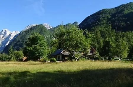 Lepa Lopa