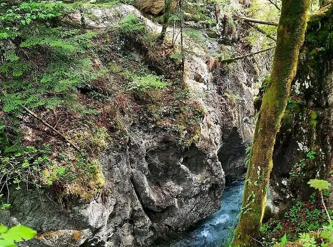 Nastanitev v družini Lepa Lopa
