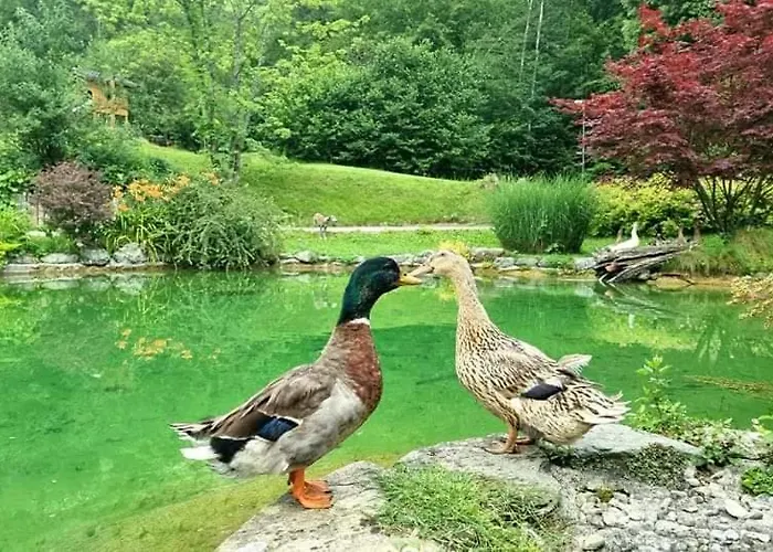 Lepa Lopa * Stahovica