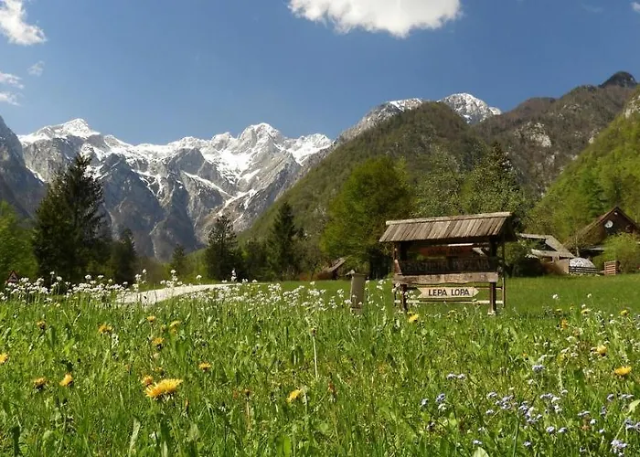 Lepa Lopa * Stahovica