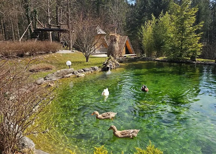 Lepa Lopa Nastanitev v družini