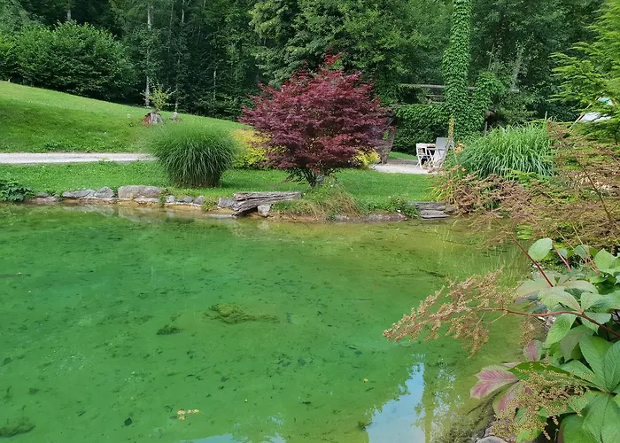 Lepa Lopa Nastanitev v družini Stahovica