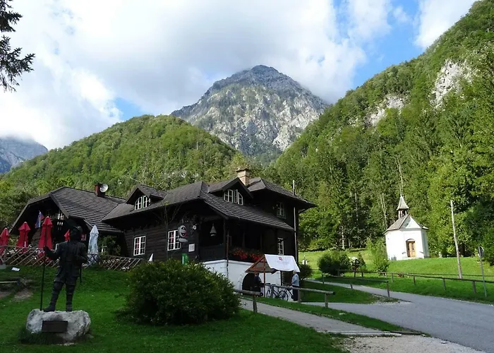 Lepa Lopa Nastanitev v družini Stahovica