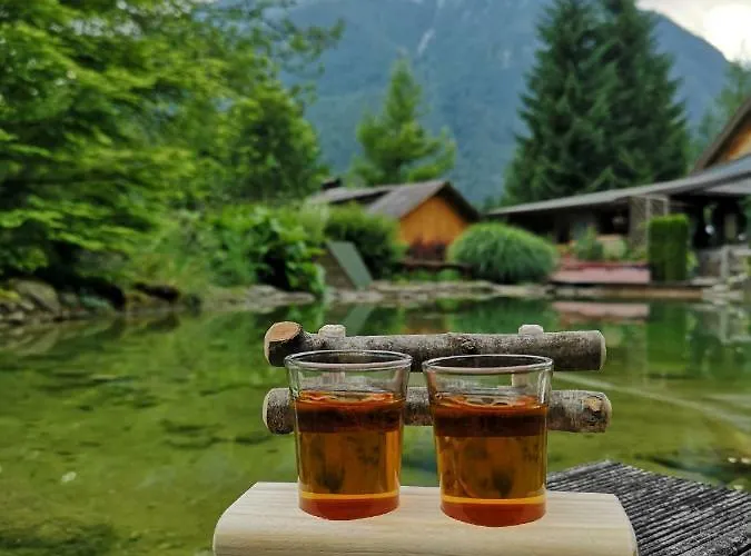 Lepa Lopa * Stahovica